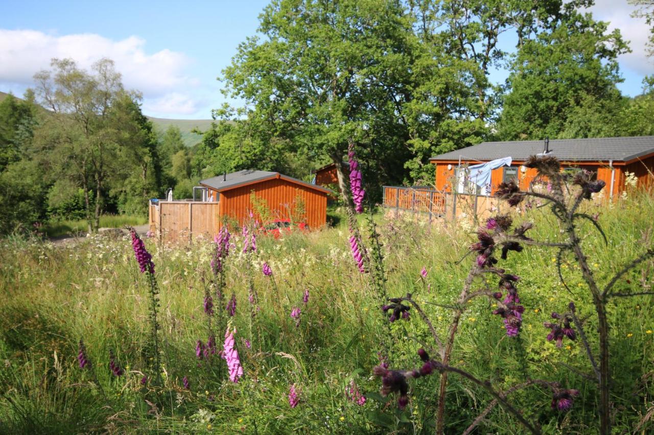 Balquhidder Braes Holiday Park Lodges, Mostly With Hot Tubs And Pet Friendly, Ev Facilities ล็อคเฮิร์นเฮด ภายนอก รูปภาพ