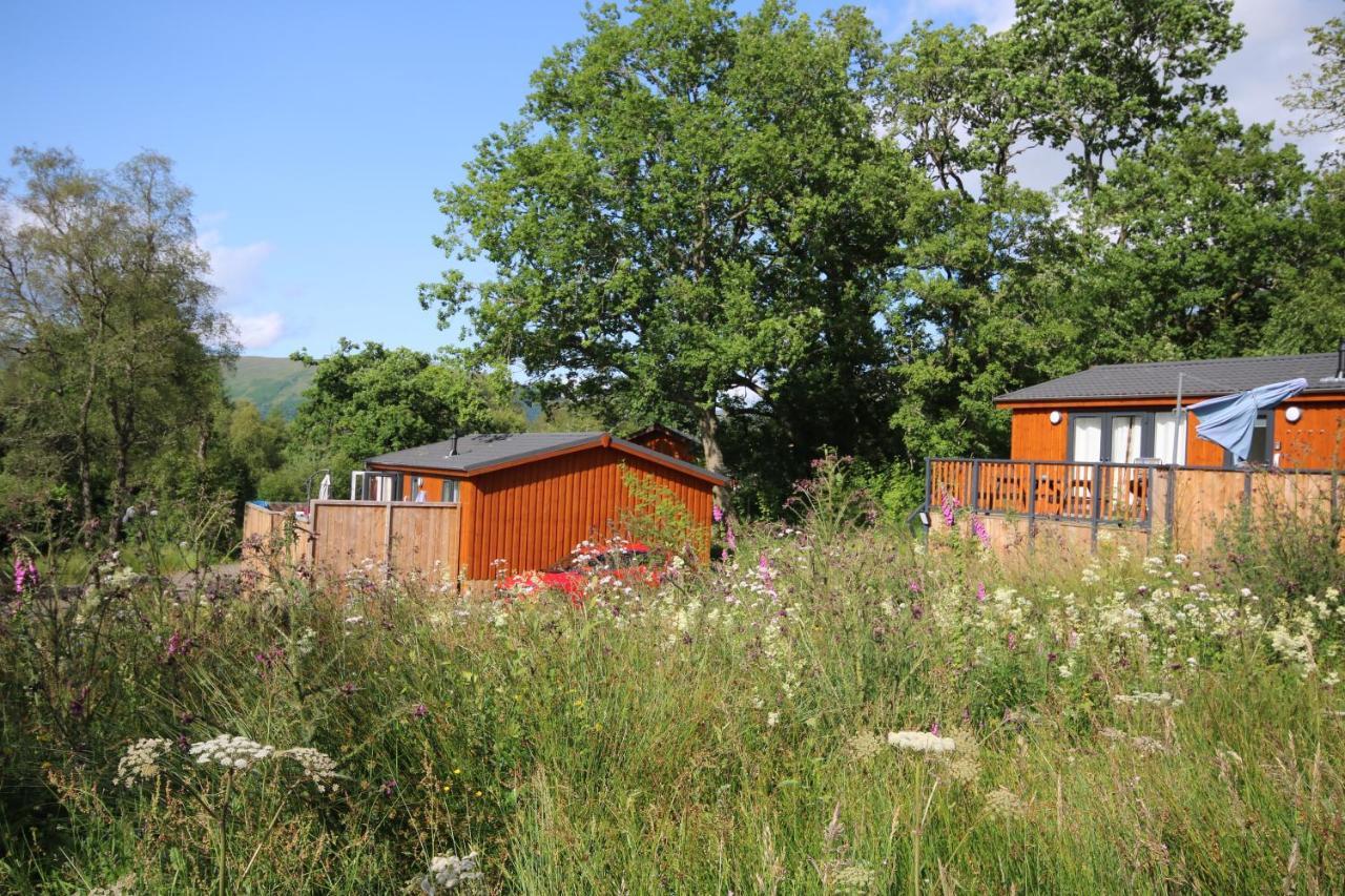 Balquhidder Braes Holiday Park Lodges, Mostly With Hot Tubs And Pet Friendly, Ev Facilities ล็อคเฮิร์นเฮด ภายนอก รูปภาพ
