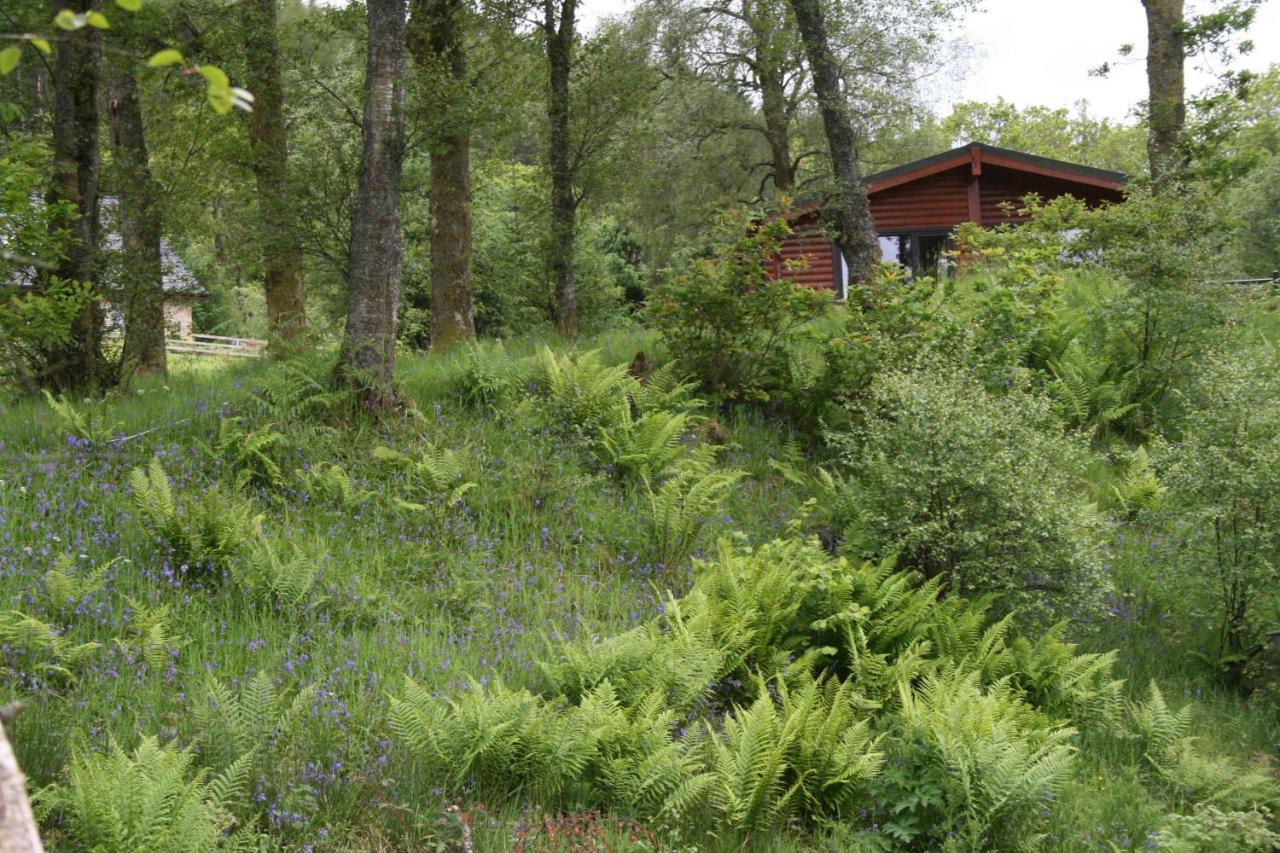 Balquhidder Braes Holiday Park Lodges, Mostly With Hot Tubs And Pet Friendly, Ev Facilities ล็อคเฮิร์นเฮด ภายนอก รูปภาพ
